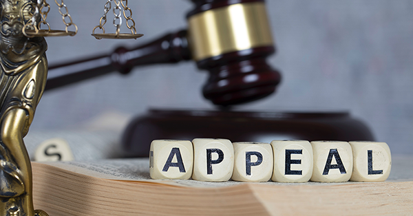 Employment Tribunal Appeal advice from Employment Law Friend
